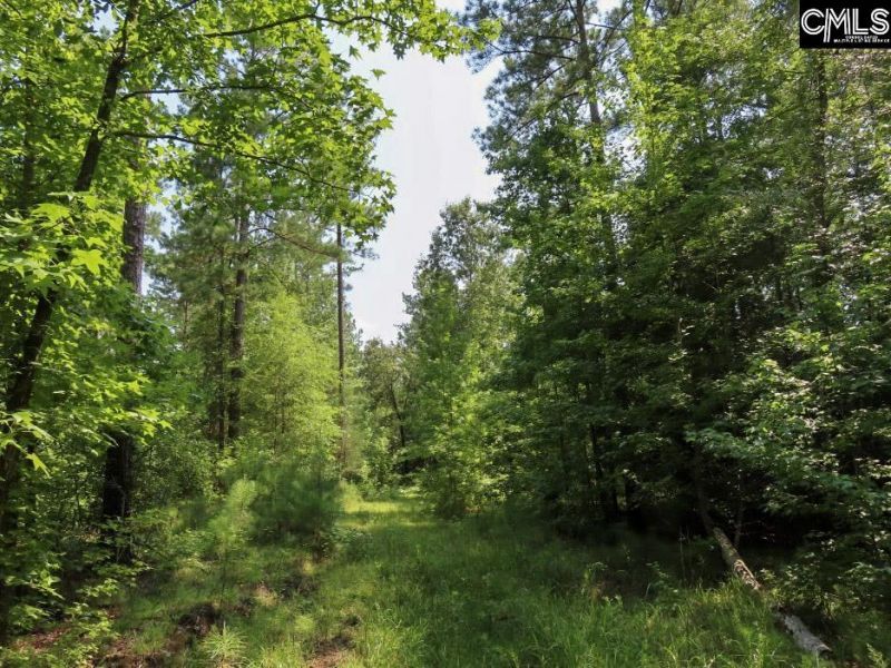 0 Landis Road Photo 76