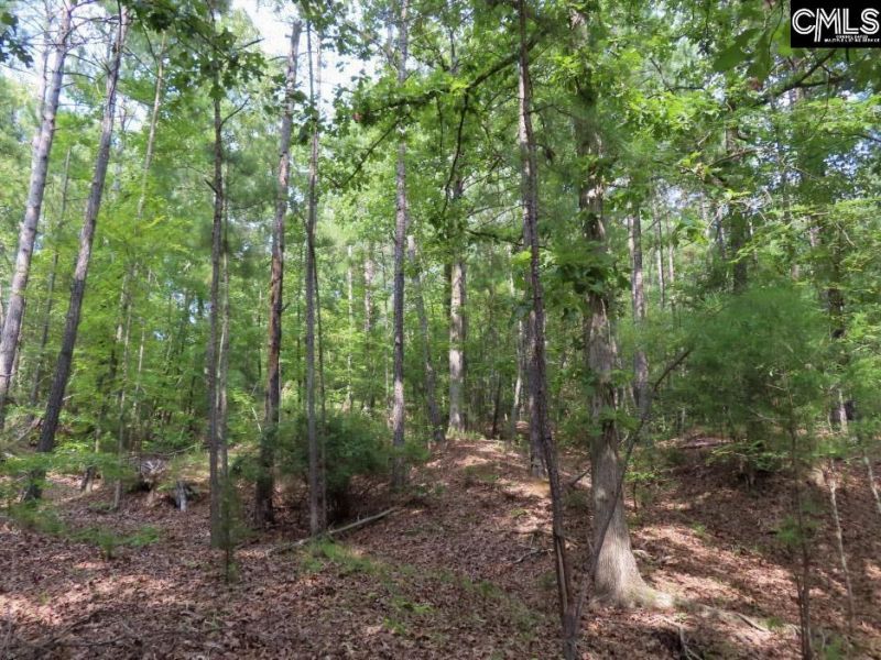 0 Landis Road Photo 78