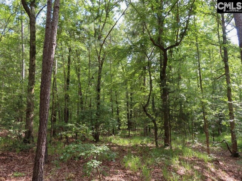 0 Landis Road Photo 79