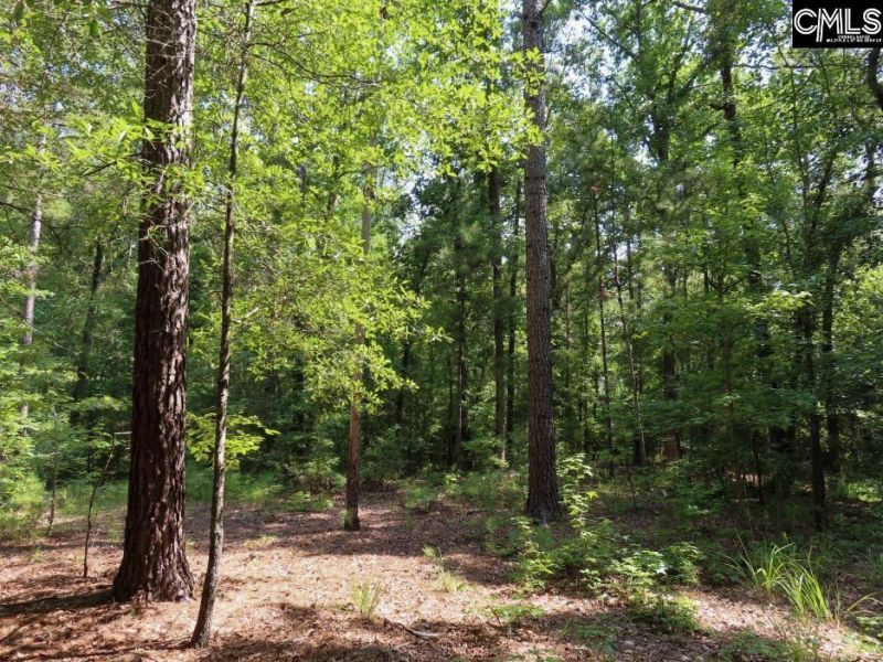 0 Landis Road Photo 8