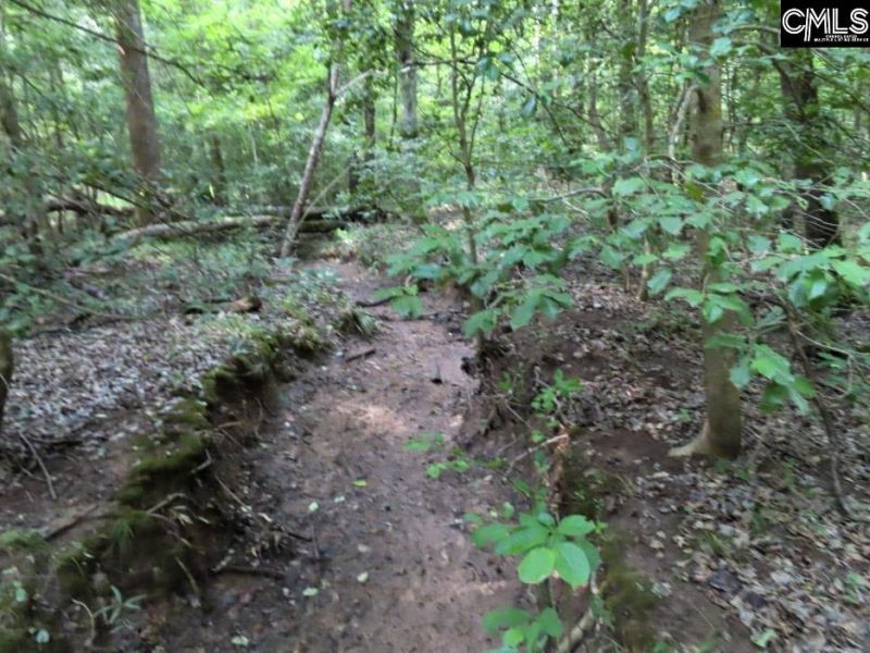 0 Landis Road Photo 80