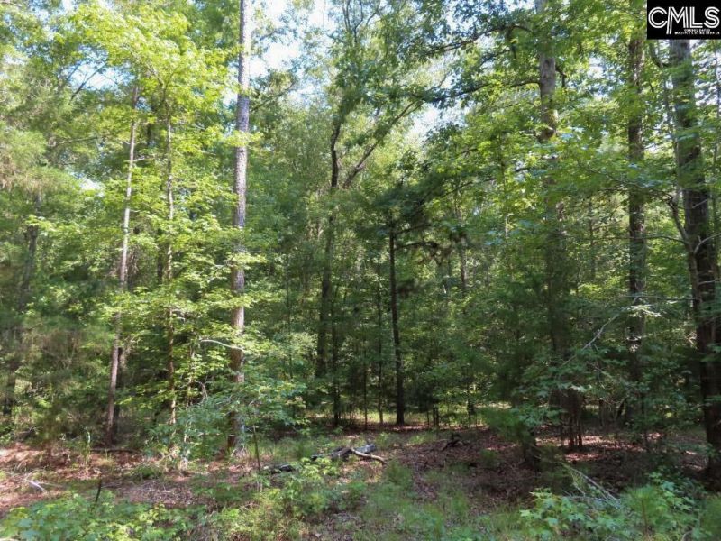 0 Landis Road Photo 81