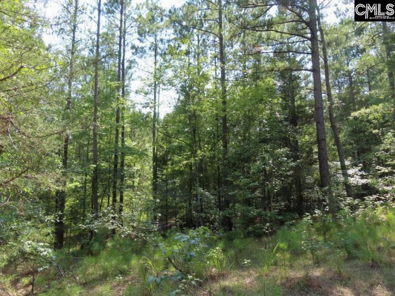 0 Landis Road Photo 82