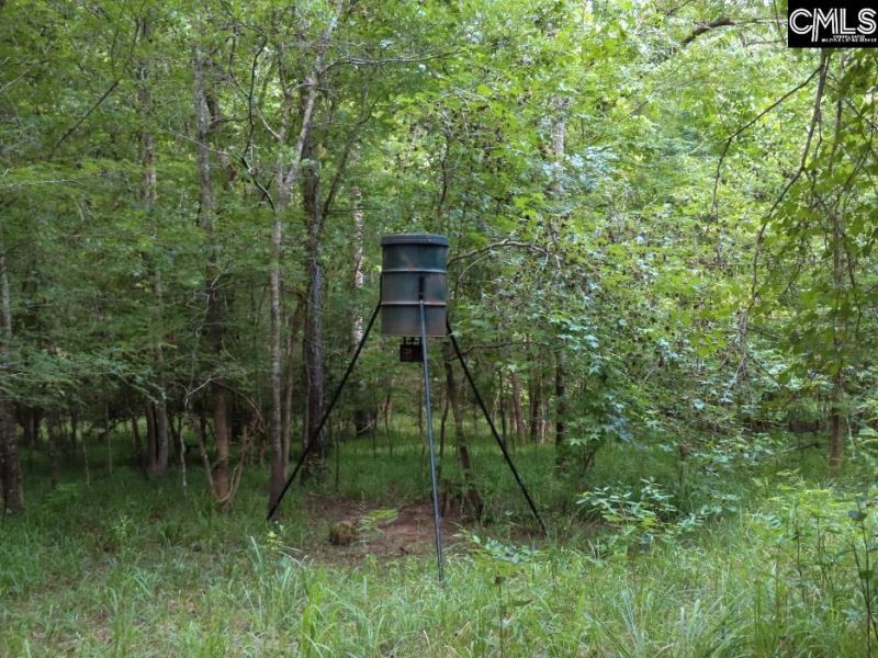 0 Landis Road Photo 9