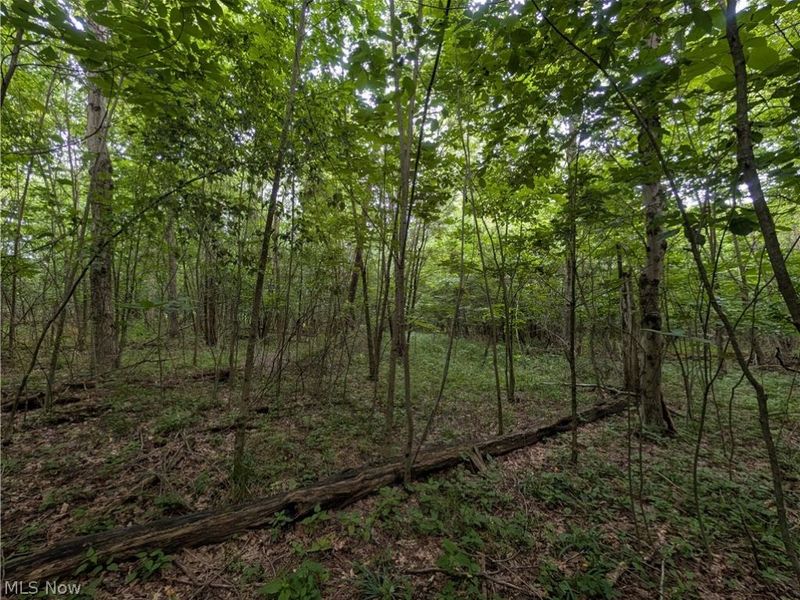 County Road 36, Bloomingdale, OH 43910 Photo 10