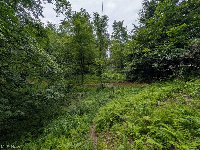 County Road 36, Bloomingdale, OH 43910 Photo 13