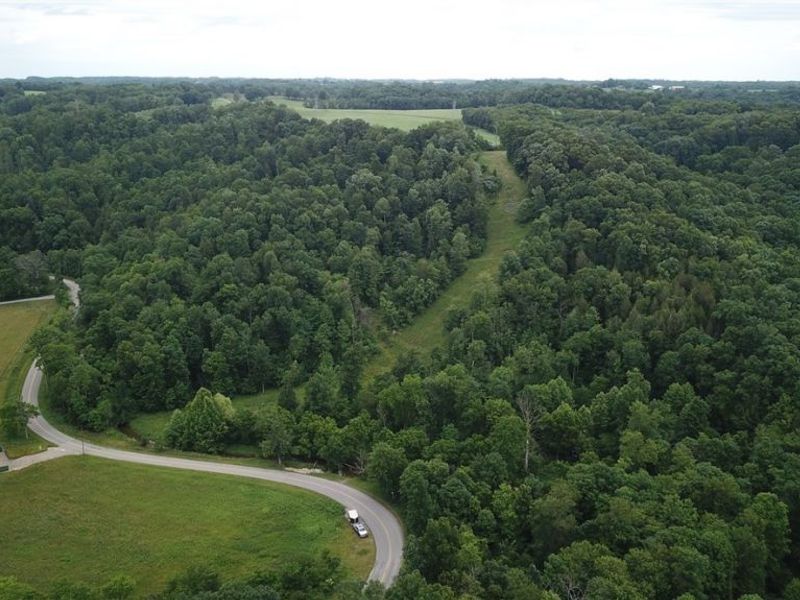 County Road 36, Bloomingdale, OH 43910 Photo 16