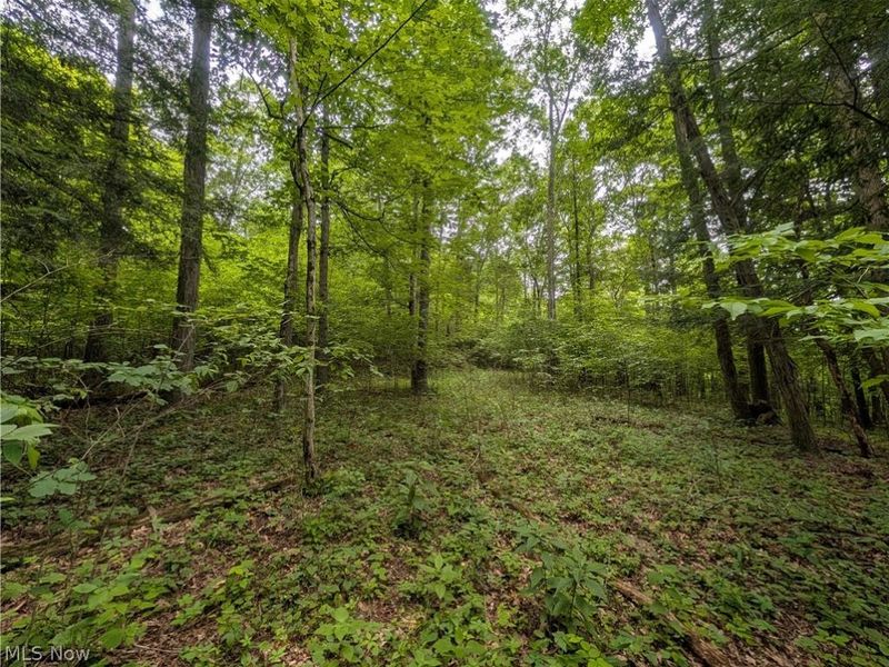 County Road 36, Bloomingdale, OH 43910 Photo 17