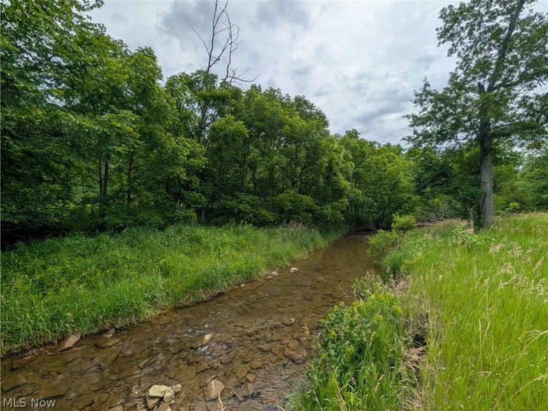 County Road 36, Bloomingdale, OH 43910 Photo 18