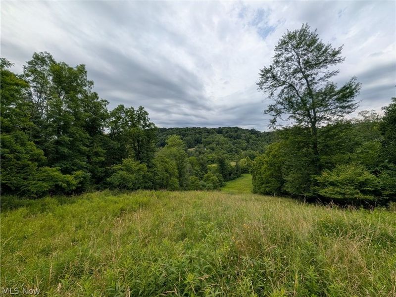 County Road 36, Bloomingdale, OH 43910 Photo 2