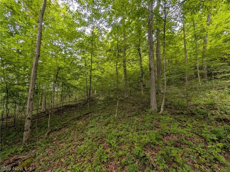 County Road 36, Bloomingdale, OH 43910 Photo 20