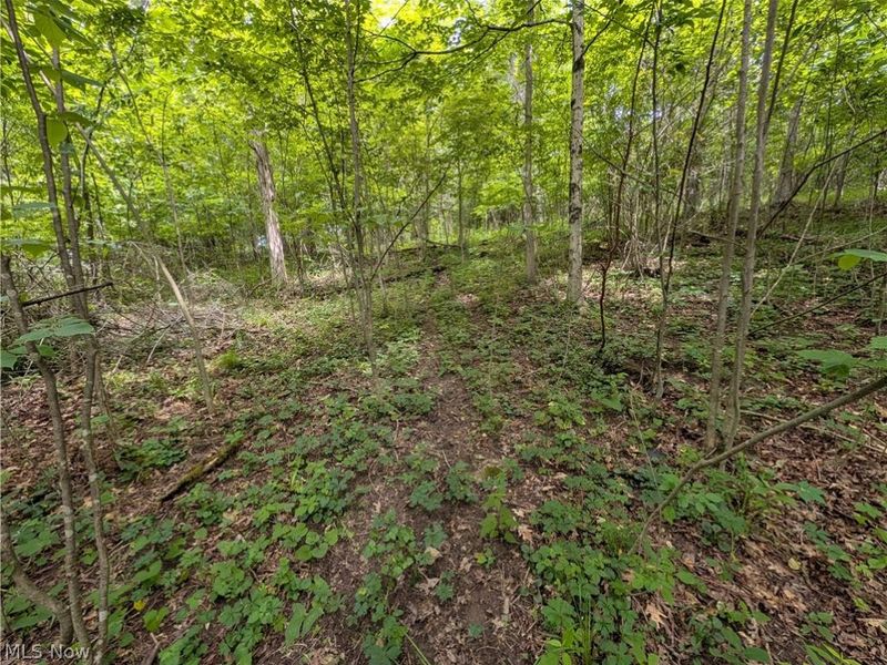 County Road 36, Bloomingdale, OH 43910 Photo 21