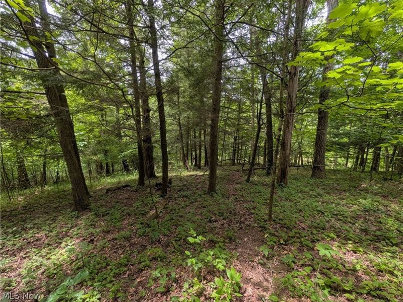County Road 36, Bloomingdale, OH 43910 Photo 22