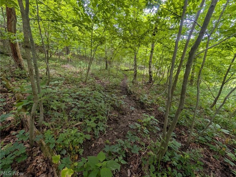 County Road 36, Bloomingdale, OH 43910 Photo 23