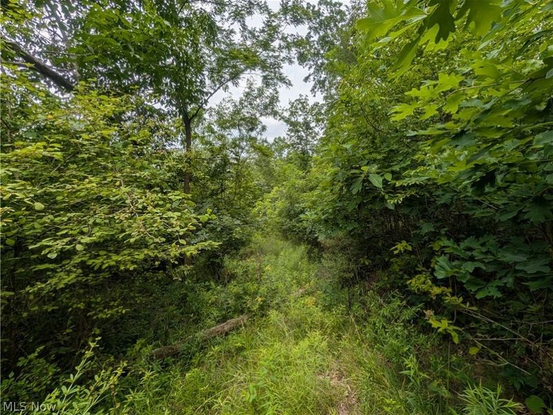 County Road 36, Bloomingdale, OH 43910 Photo 24