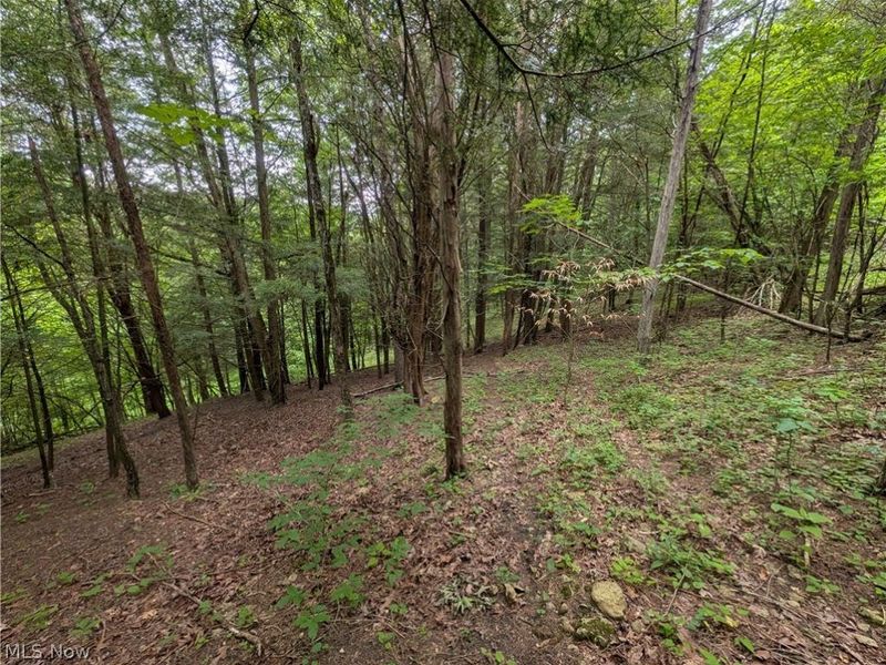 County Road 36, Bloomingdale, OH 43910 Photo 25
