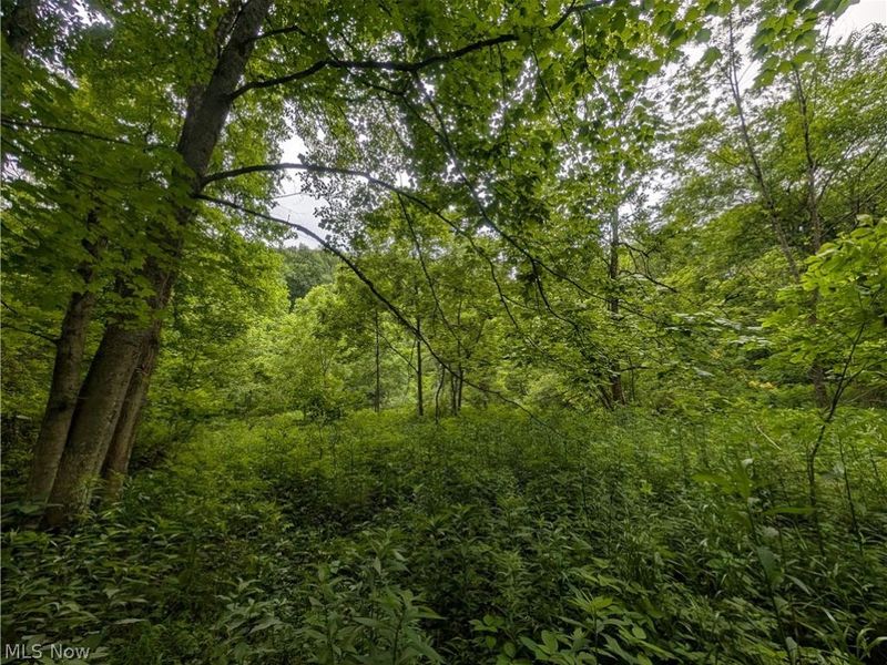 County Road 36, Bloomingdale, OH 43910 Photo 26