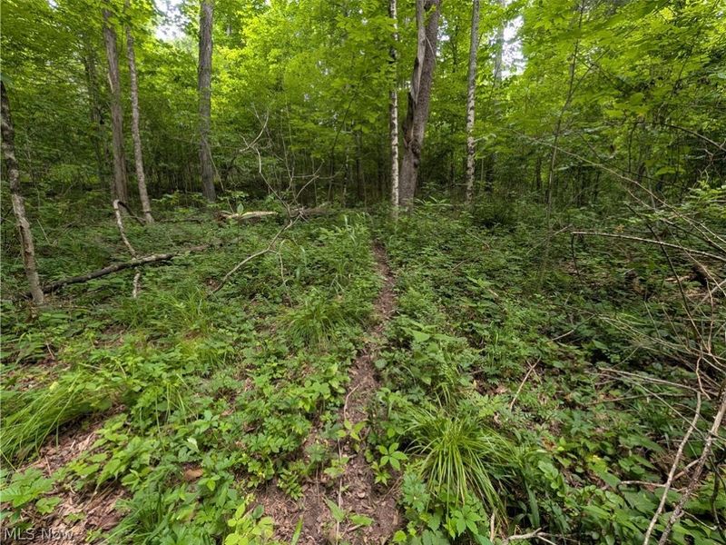 County Road 36, Bloomingdale, OH 43910 Photo 28