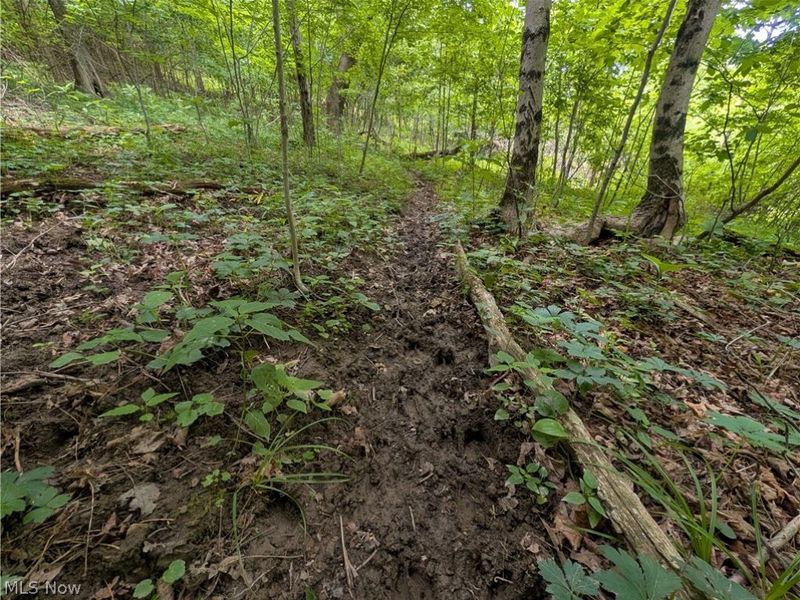 County Road 36, Bloomingdale, OH 43910 Photo 29