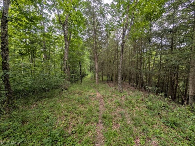 County Road 36, Bloomingdale, OH 43910 Photo 3