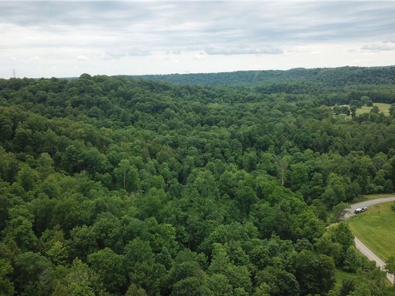 County Road 36, Bloomingdale, OH 43910 Photo 31