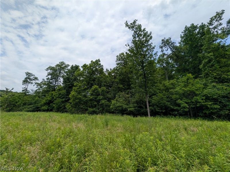 County Road 36, Bloomingdale, OH 43910 Photo 33