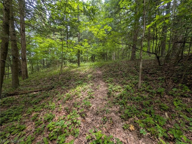 County Road 36, Bloomingdale, OH 43910 Photo 34