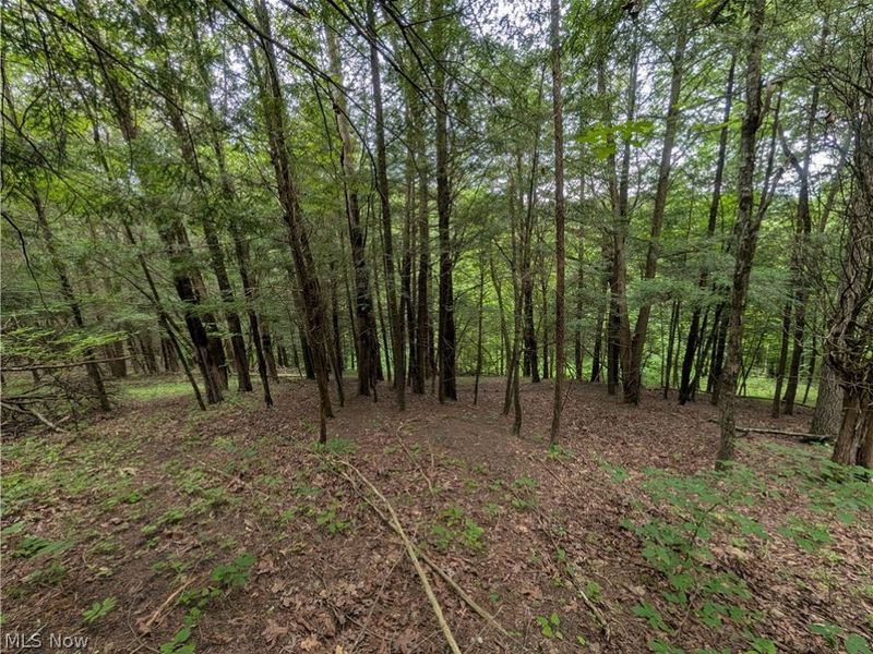 County Road 36, Bloomingdale, OH 43910 Photo 35