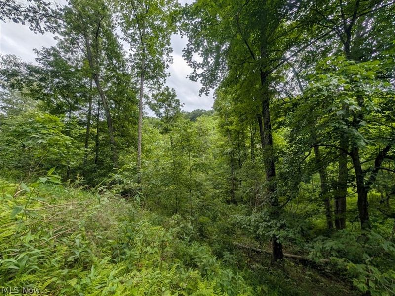 County Road 36, Bloomingdale, OH 43910 Photo 36