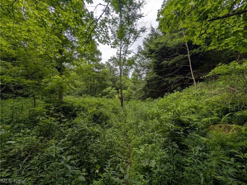 County Road 36, Bloomingdale, OH 43910 Photo 37