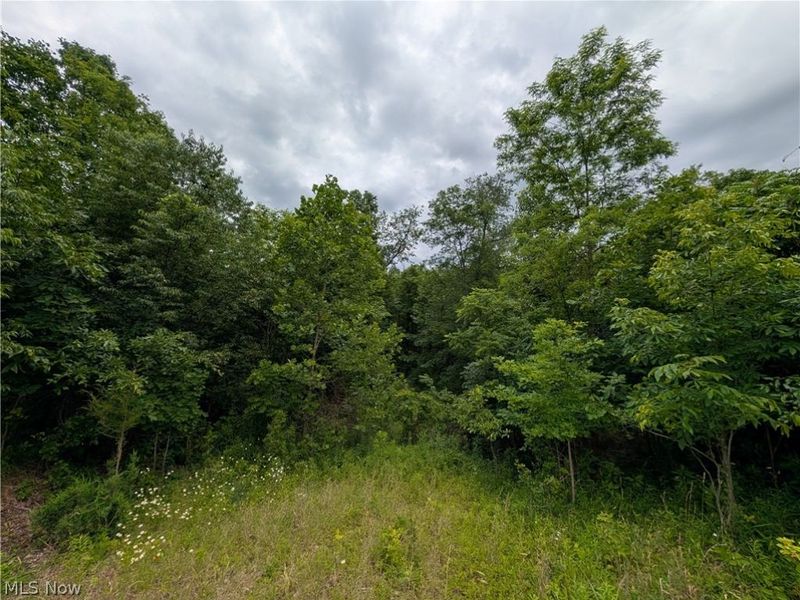 County Road 36, Bloomingdale, OH 43910 Photo 38