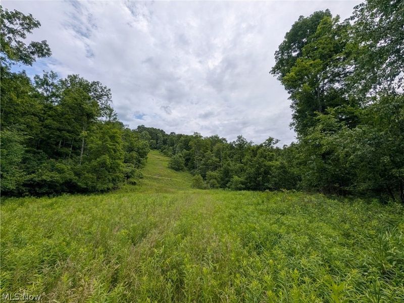 County Road 36, Bloomingdale, OH 43910 Photo 39