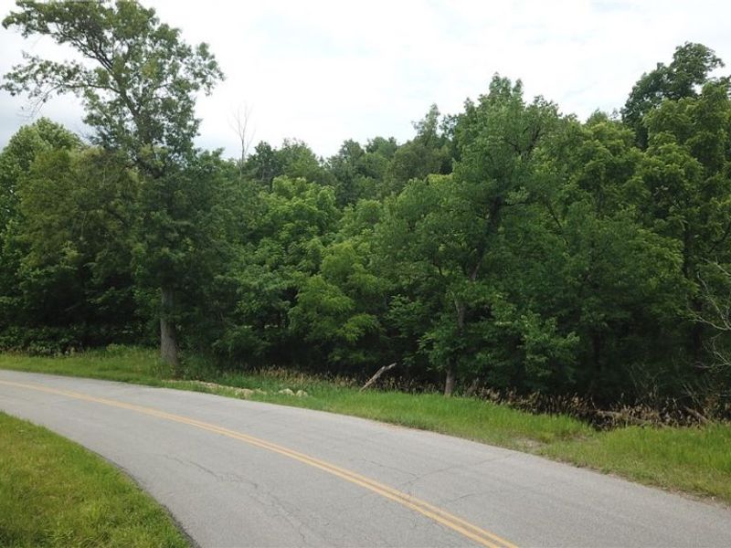 County Road 36, Bloomingdale, OH 43910 Photo 4