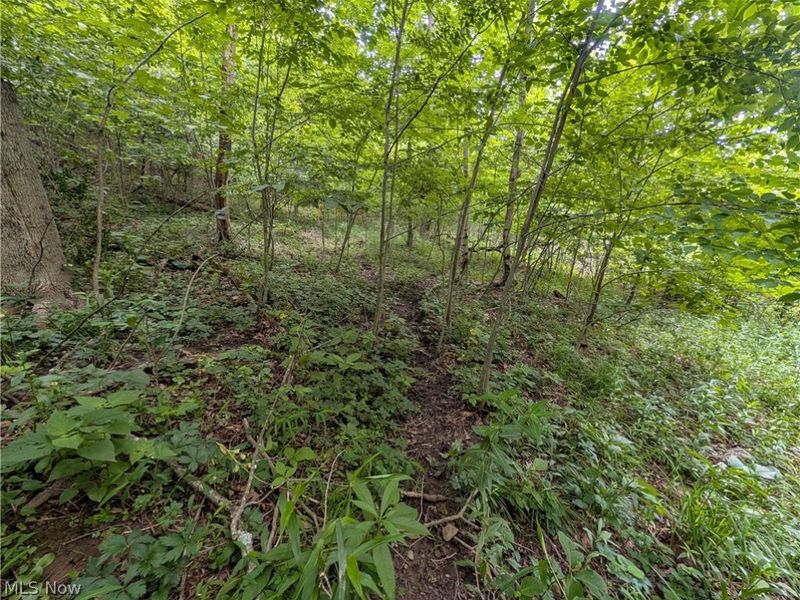 County Road 36, Bloomingdale, OH 43910 Photo 7