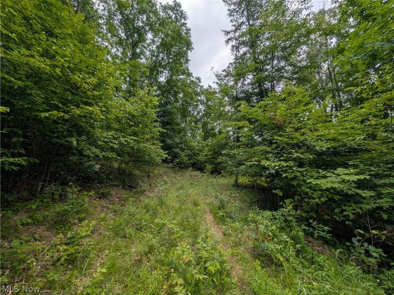 County Road 36, Bloomingdale, OH 43910 Photo 8