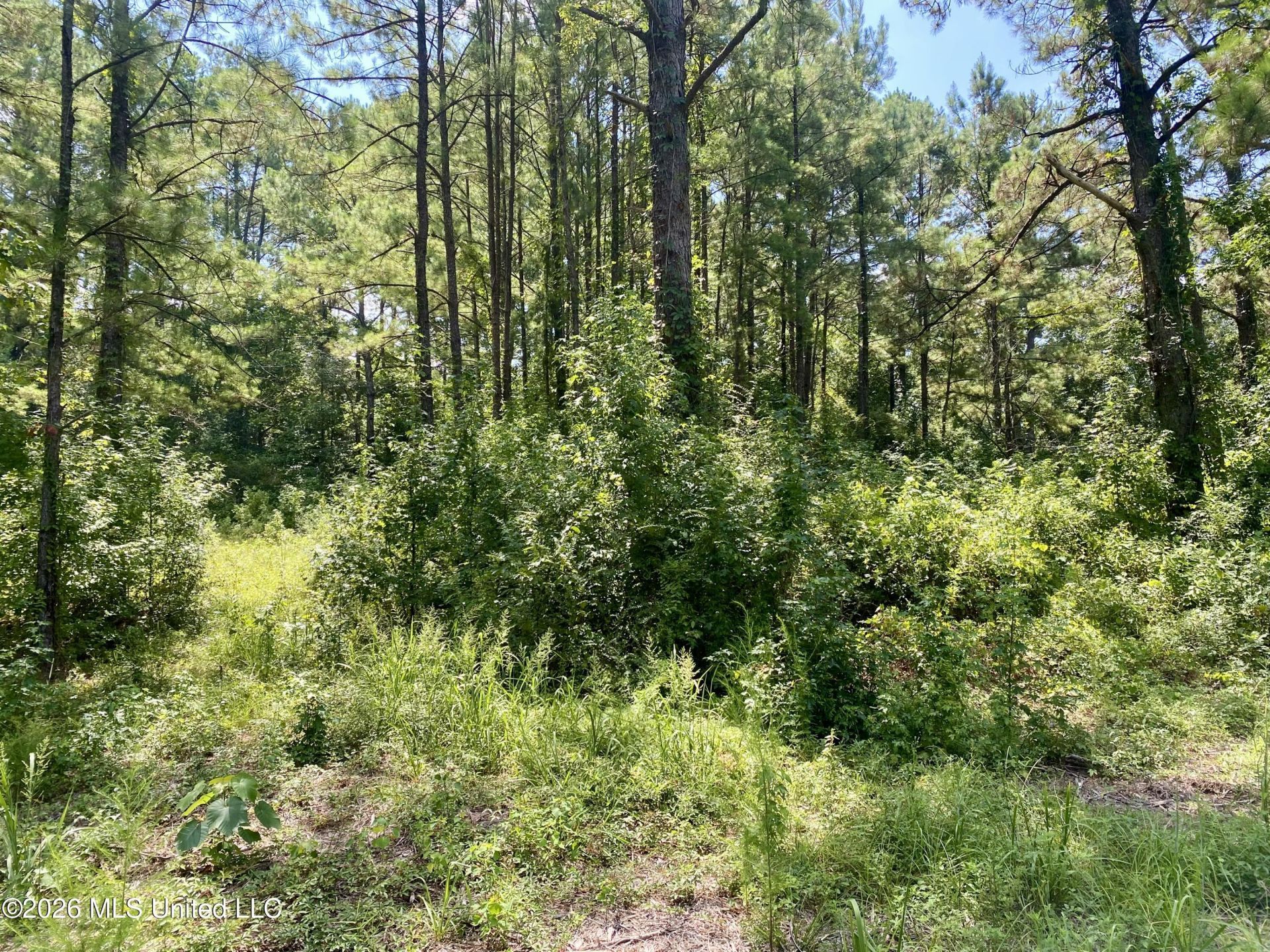 Xxx Clubhouse Drive, Wiggins, MS 39577 Main Photo