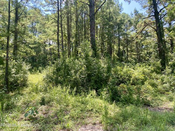 Xxx Clubhouse Drive, Wiggins, MS 39577
