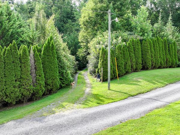 985 Highway 31, Mooresburg, TN 37811