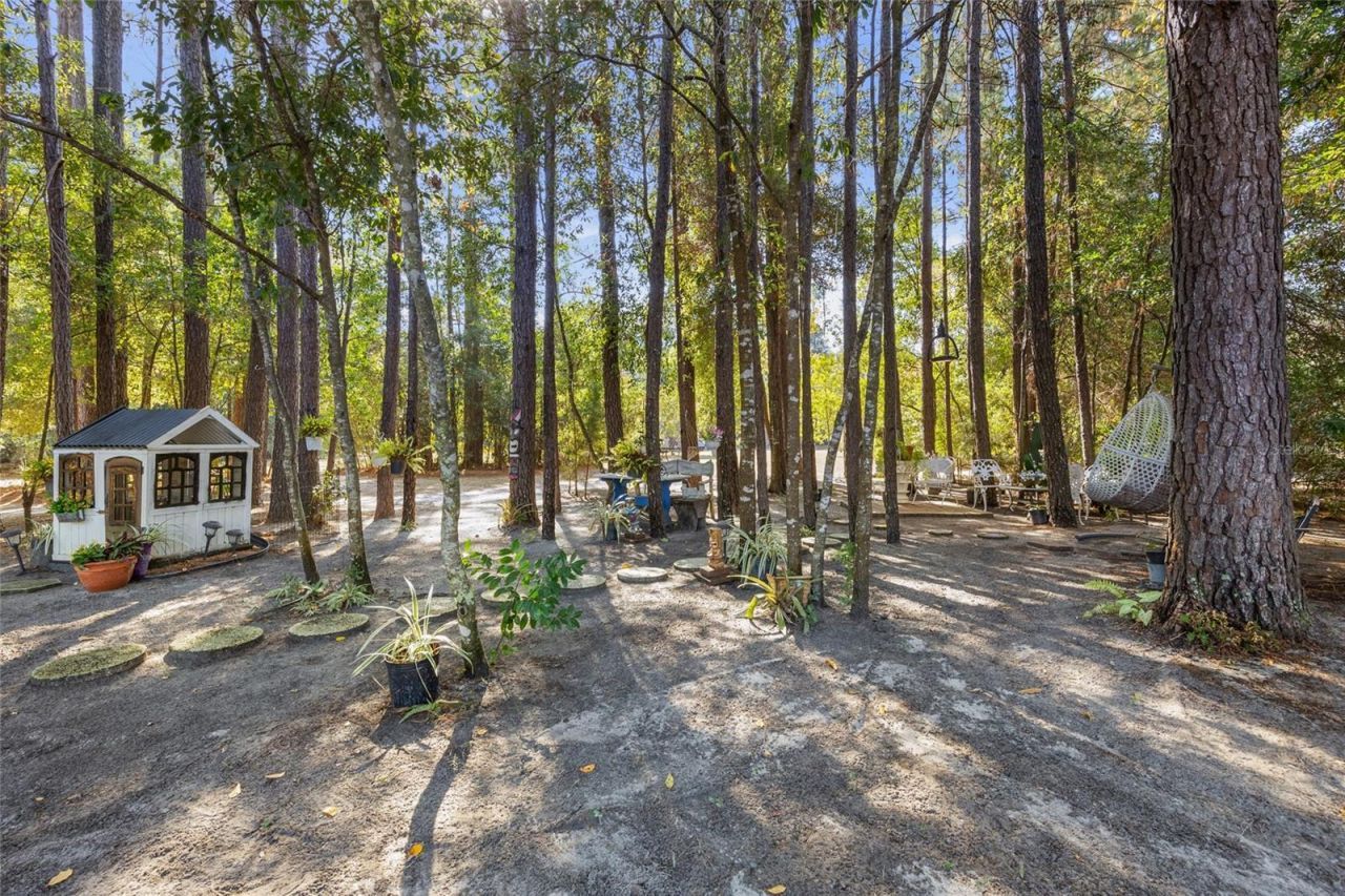 172 SW Bradshaw Glen, Lake City, FL 32024 Photo