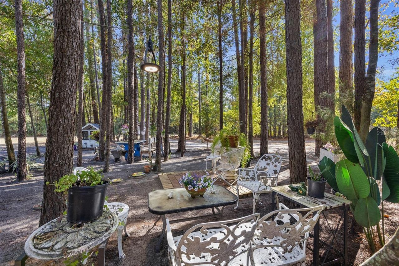172 SW Bradshaw Glen, Lake City, FL 32024 Photo