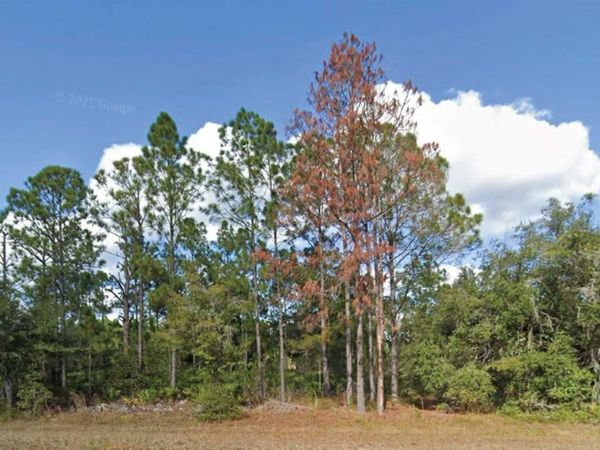 508 PALM AVENUE , INDIAN LAKE ESTATES, FL 33855