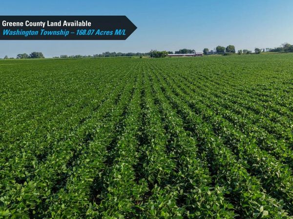 Terrace Avenue, Rippey, IA 50235