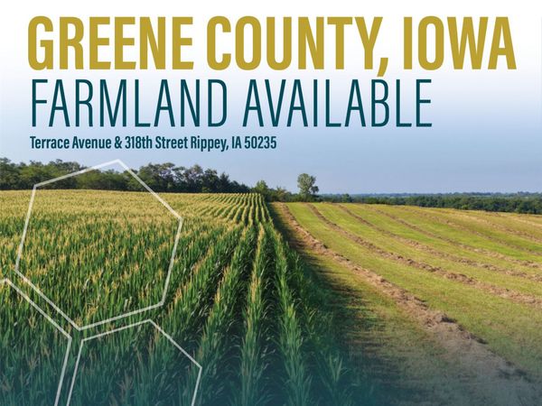 Terrace Avenue, Rippey, IA 50235