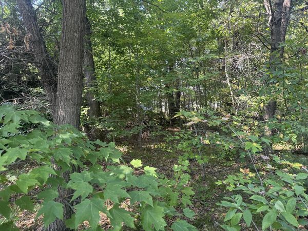 250 White Oak Lane, Wisconsin Dells, WI 53965