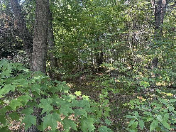 250 White Oak Lane, Wisconsin Dells, WI 53965