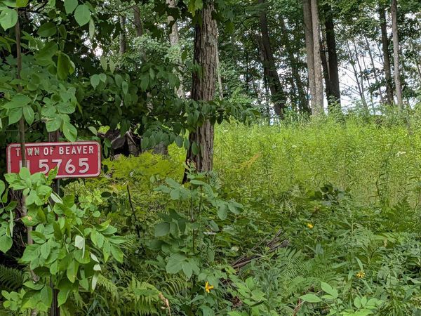 N5765 PARKWAY ROAD, Pound, WI 54161