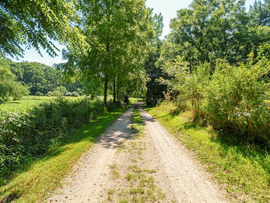 Property Image 40