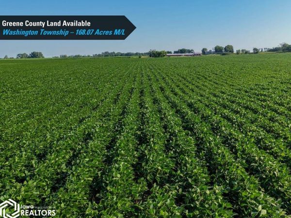 Terrace Avenue, Rippey, IA 50235