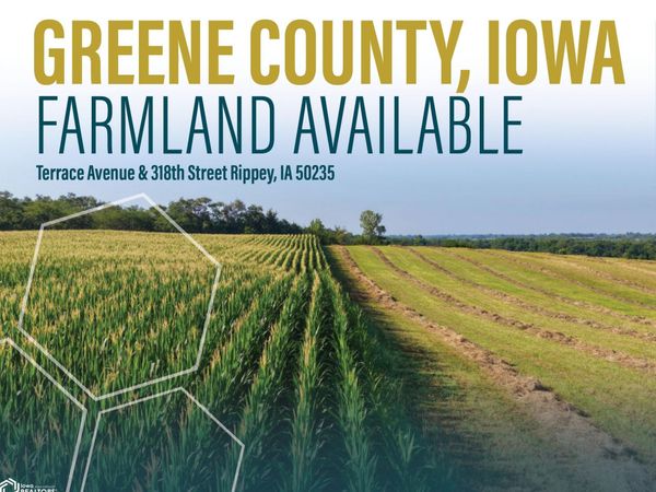 Terrace Avenue, Rippey, IA 50235