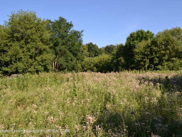 0 Edgar Road, Leslie, MI 49251